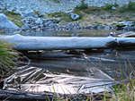 IMG_5740th.jpg