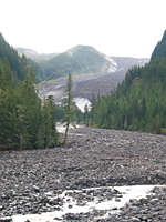 IMG_6057th.jpg