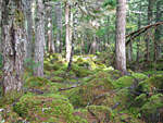 IMG_6101th.jpg