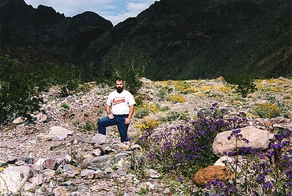 macho man